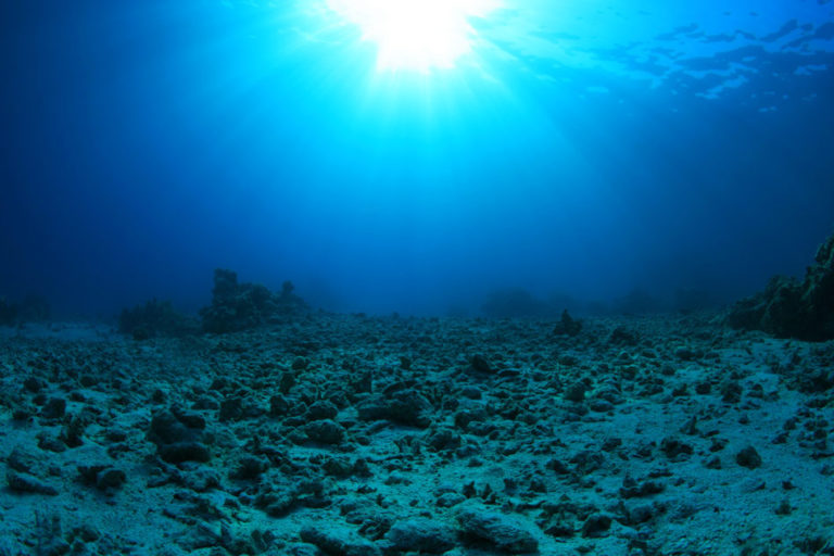 Study Warns of Extreme Ocean Acidification: Could Trigger Mass Extinction