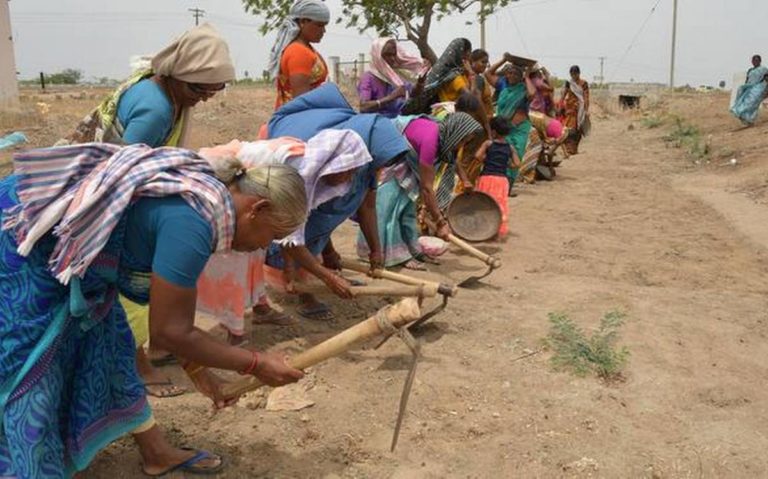 Implement MGNREGA to Deal with Unemployment Crisis, Eminent Citizens Urge Rural Development Ministry