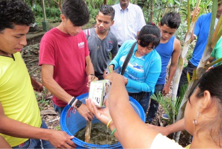 वैश्विक महामारी के समय लोगों का पेट भरना: निकाराग्वा का खाद्यान्न सार्वभौमिकता का तरीका