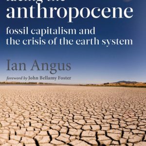 Facing the Anthropocene: An Update