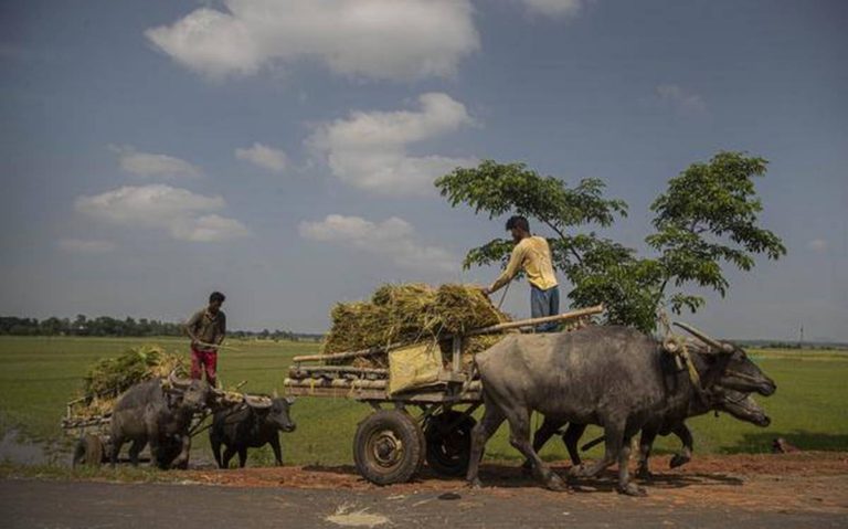 The Union Budget Is Marked by an Overall Compression of Expenditures for Agriculture