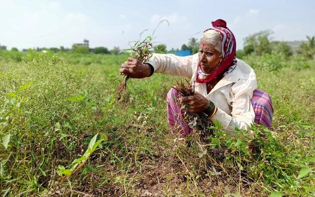 How Financially Feasible Would it be to Extend the MSP to All Crops?