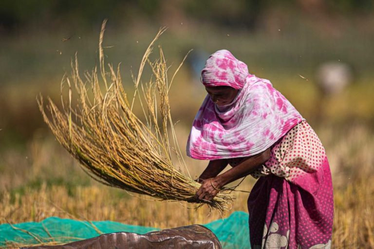 International Farmers’ Organisations Support Indians Farmers
