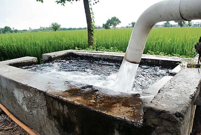 Why are Groundwater Tables in Punjab Falling