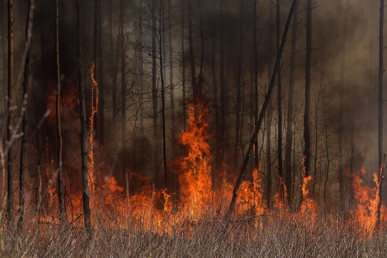 35 Years After Chernobyl’s Meltdown, the  Accident Continues – Three Articles