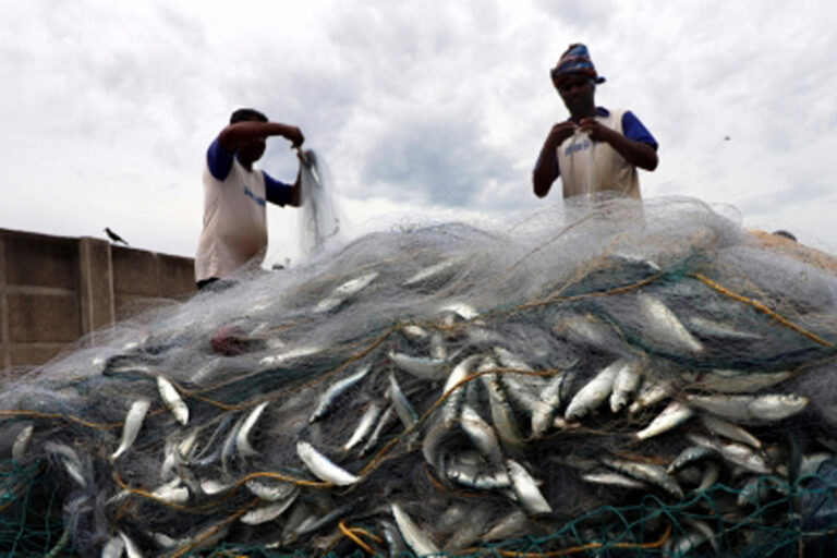 WTO Negotiations, Domestic Marine Fisheries Bill: Big Fish Eats Small Fish