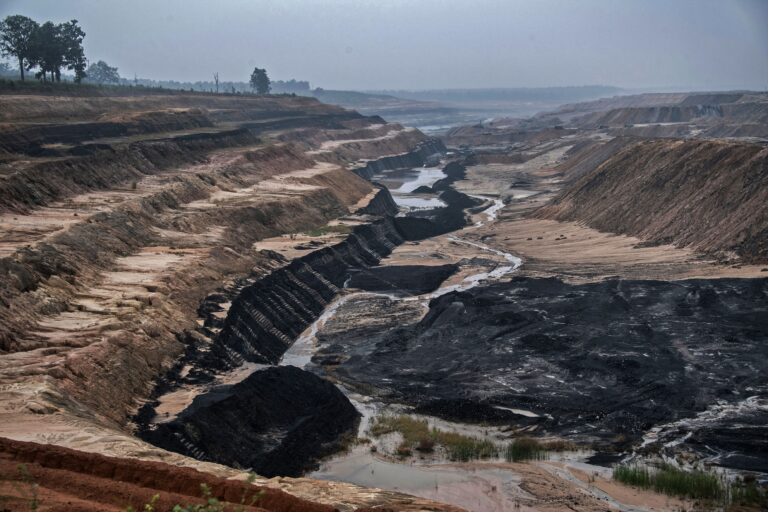 Stop Coal Mining in the Hasdeo Forests