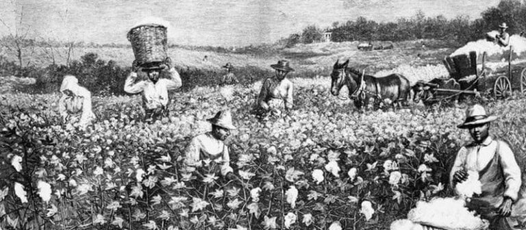 American Slavery and Global Capitalism