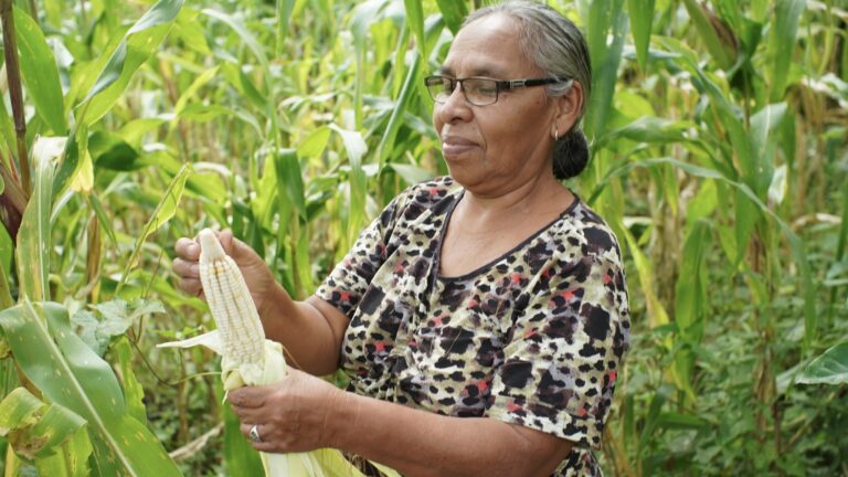 Women’s Struggle in Nicaragua: from Liberation Fighters to Building an Alternative Society