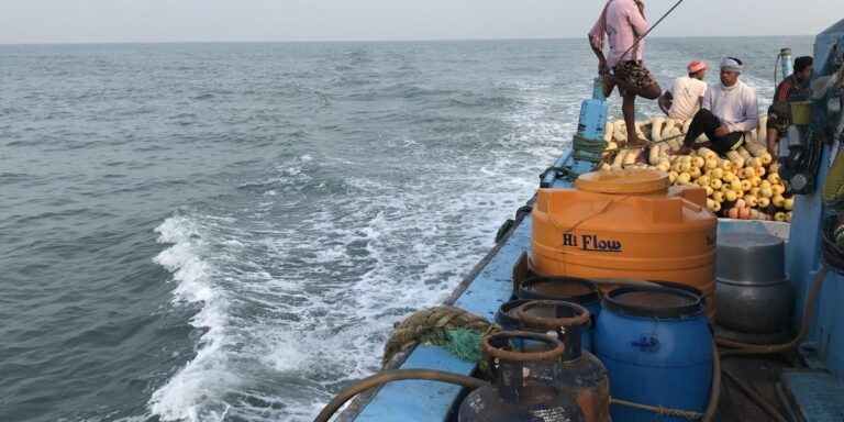 India Wants a ‘Blue Revolution’. What Do India’s Fishers Want?