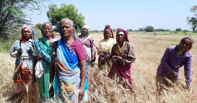 A Dalit Women’s Collective Is Fighting for the Land it Toils on in Gujarat