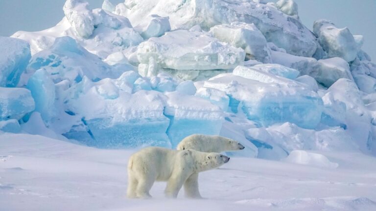 Global Warming Impacting Arctic and Antarctic; Permafrost Also Melting: Earth on Cusp of Catastrophe – Three Articles
