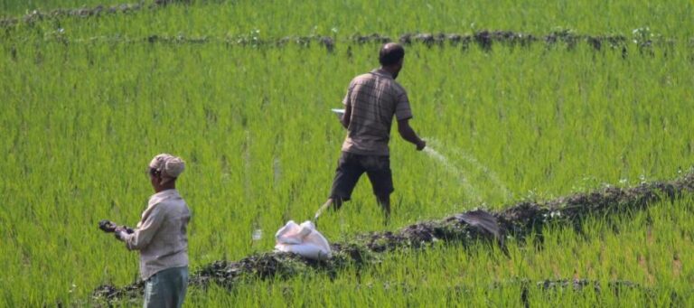 A Looming Crisis in Fertilisers