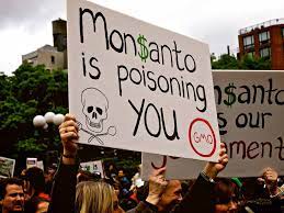 From Rachel Carson to Monsanto: The Silence of Spring