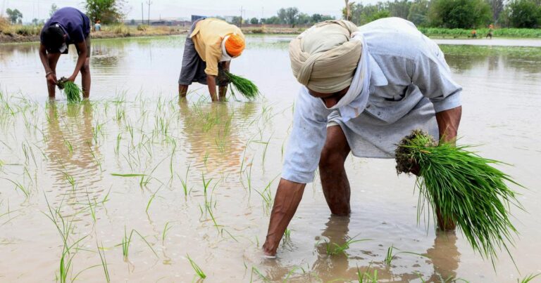 In Punjab, the Accelerating Rate of Groundwater Depletion Is Worrying Both Farmers and Experts