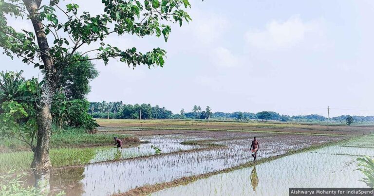 Climate Disasters are Forcing Farmers to Migrate Out of Odisha to Make a Living