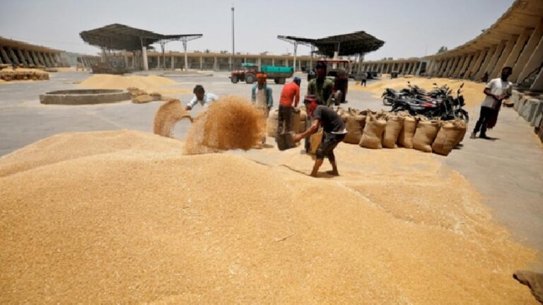 Govt’s Bizarre Plans of Dealing With Looming Food Grain Crisis