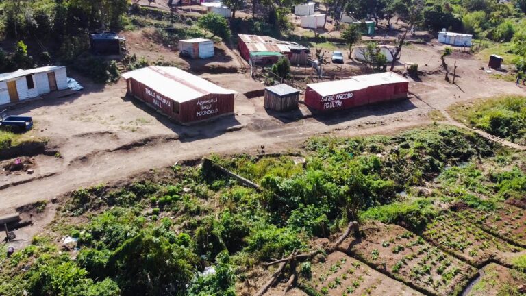 An Image of Hope: Abahlali baseMjondolo’s Fight for Dignity and Land, 17 Years On