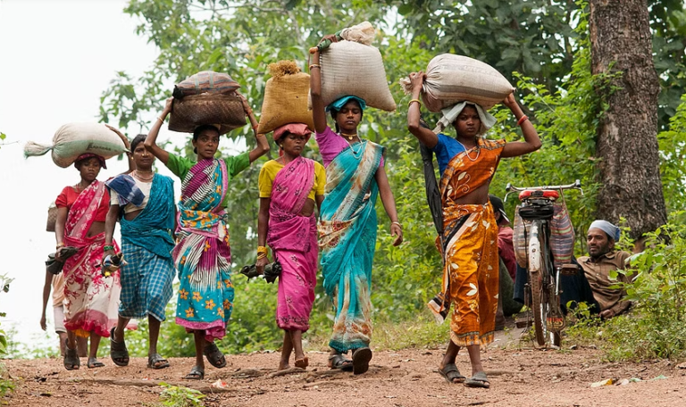 Demand to Withdraw ‘Anti-Environment, Anti-Adivasi’ Forest Conservation Rules 2022