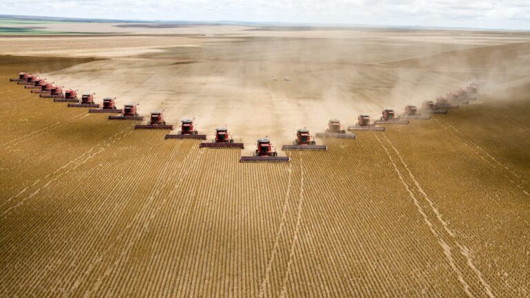 A Shrinking Fraction of the World’s Major Crops Goes to Feed the Hungry, with More Used for Nonfood Purposes