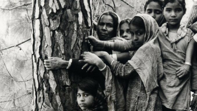 Fifty Years of Chipko Movement Clear Pathways For Other Struggles to Save Ecosystems, and Life