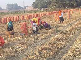 Marginalized Indian Rural Economy: Its Challenges