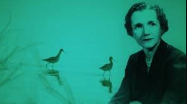 Rachel Carson on Science and Our Spiritual Bond with Nature