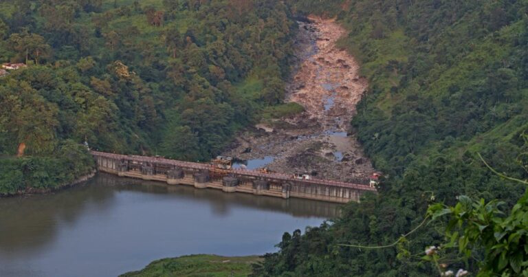 The Dam-Building Spree in Arunachal Pradesh Is Taking a Toll on its Biodiversity