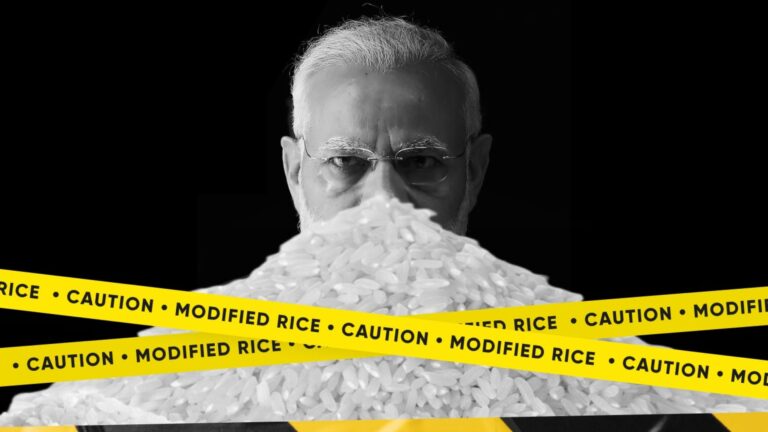 The Fortified Rice Scam