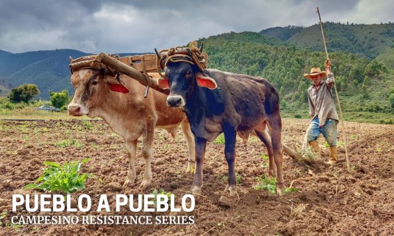 Pueblo a Pueblo Builds Food Sovereignty