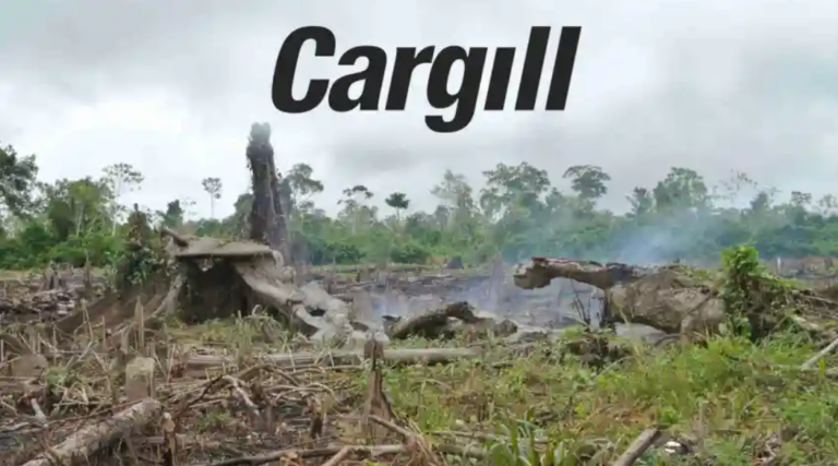 Cease Your Destruction, Cargill!