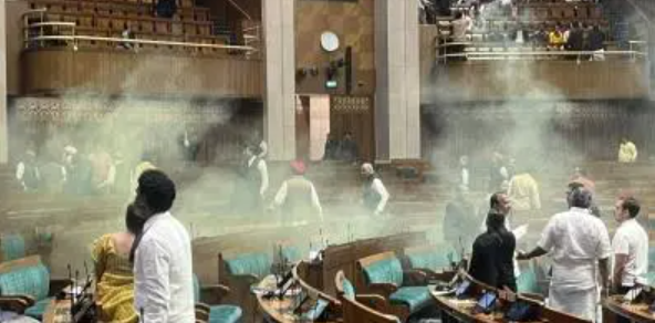 Four Young Persons Set Off Harmless Smoke Canisters in Parliament – 3 Articles