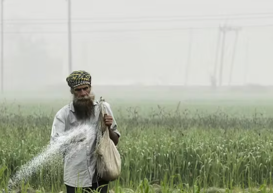 Environmental Cost of Green Revolution: India World’s Second-Highest Fertilizer Importer
