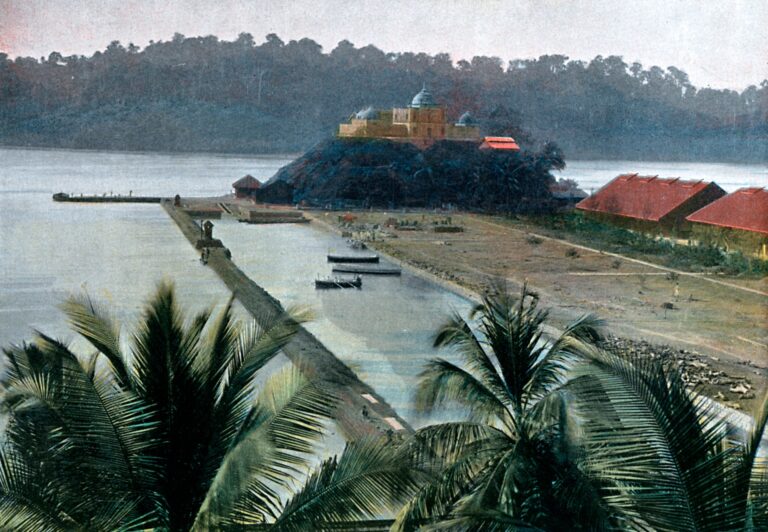 Misguided Mega-Projects Threaten to Devastate the Andaman and Nicobar Islands