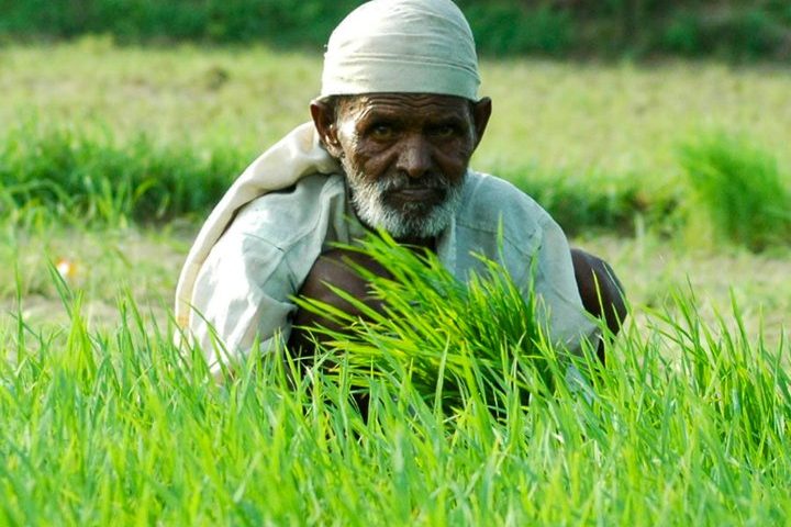 Modi’s Scheme to Double Farmers’ Income Goes on Overdrive During Elections, Stalls Otherwise