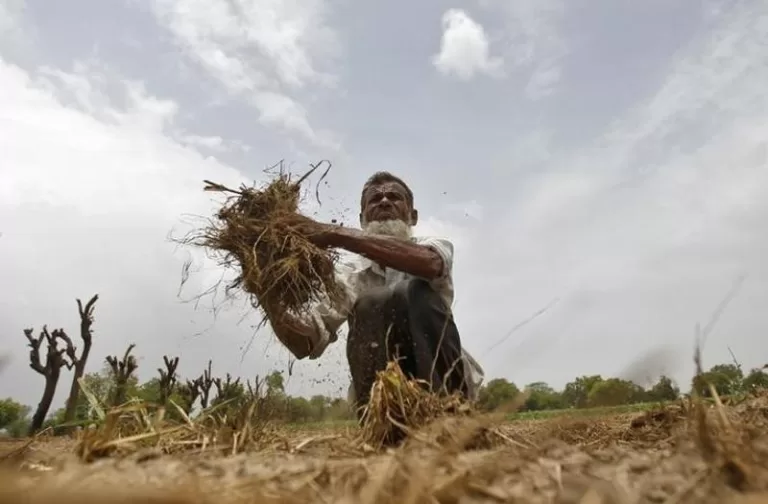 How did Agricultural Output Change Under the Modi Government?