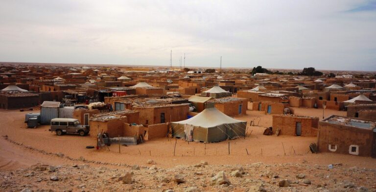 At Western Sahara: Visiting a Forgotten People