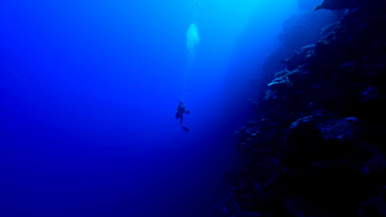 Humans Have Observed Less Than 0.001% of the Deep Seafloor