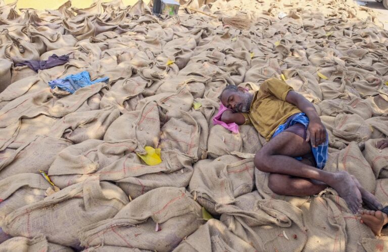 Census Delays Leave 120 Million Indians Without Access to Foodgrains
