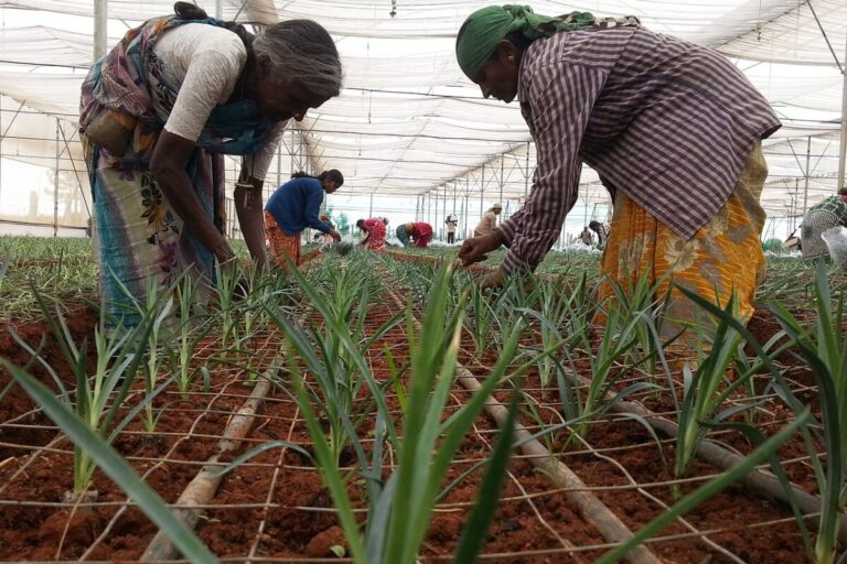 Farms Turn Femme But Women Still Plough Through Power Centres