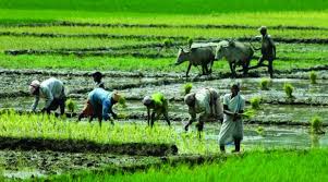 Inequality in Land Ownership and Flawed Land Reforms