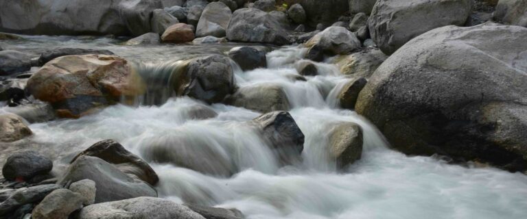 The River Parliament: A Sacred Confluence Speaks Out