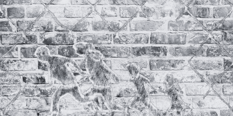 Deported in Silence: Mass Expulsion of Alleged Bangladeshis Without Due Process