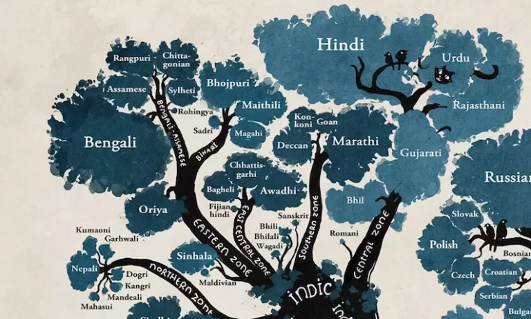 Which Hindi Do We Speak Anyway?