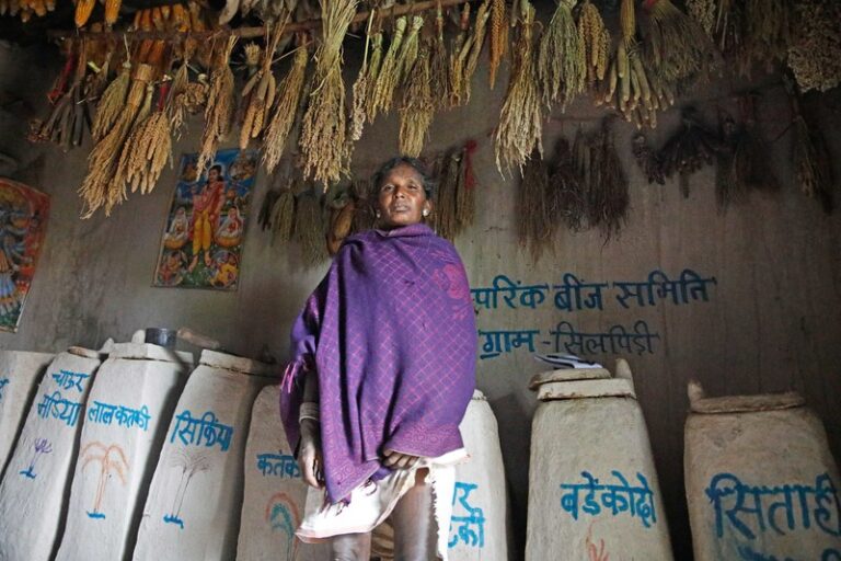 The Pitfalls of Trying to Protect Farmers’ Seeds Through Laws