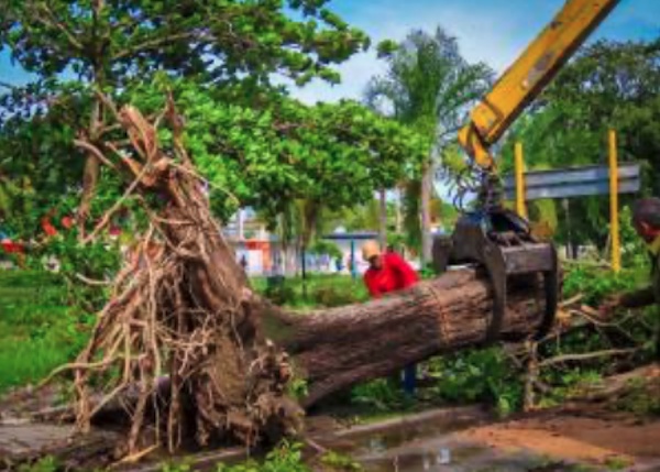 Two Victories for Cuba, for Life