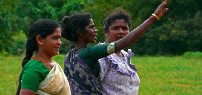 India’s Worsening Gender Gap is Not Just a Statistical Concern, It’s a Structural Crisis