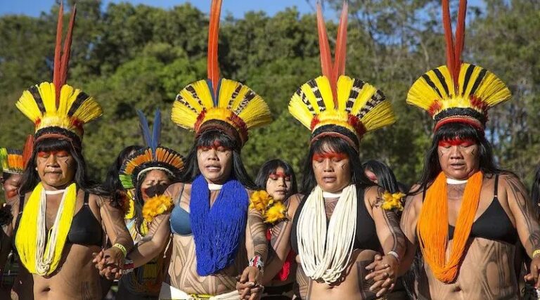 Indigenous and Environmental Defenders Risk Their Lives as the Last Line Protecting the Planet