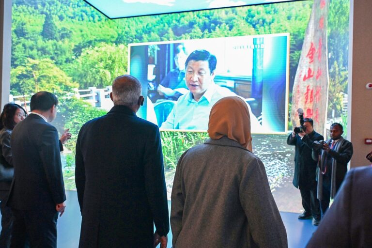 Exploring the Chinese Revolution Today