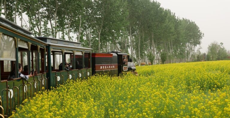 Communal Governance and Production in Rural China Today